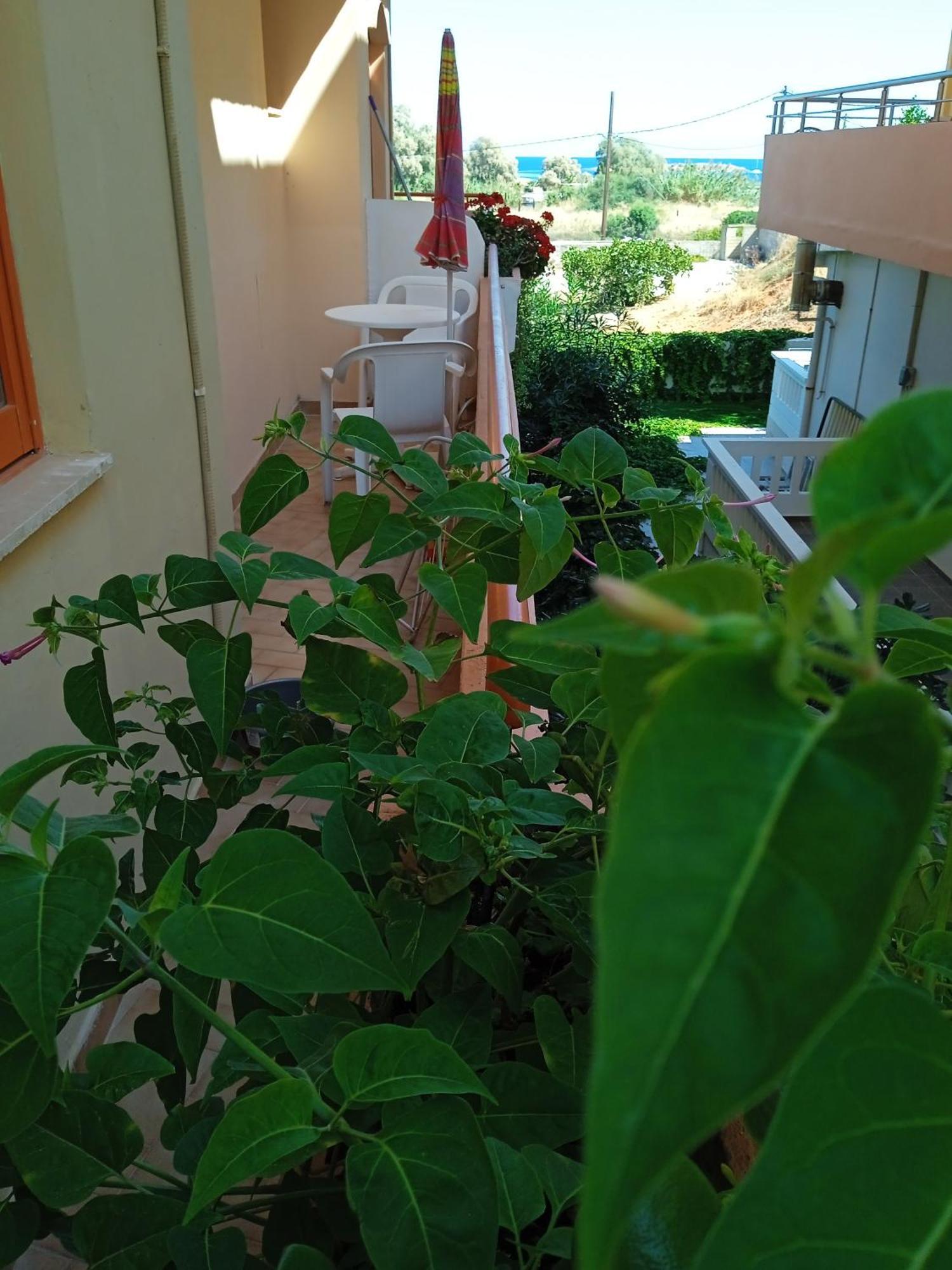 Ilona Apartments Chania Kato Daratso Pokoj fotografie