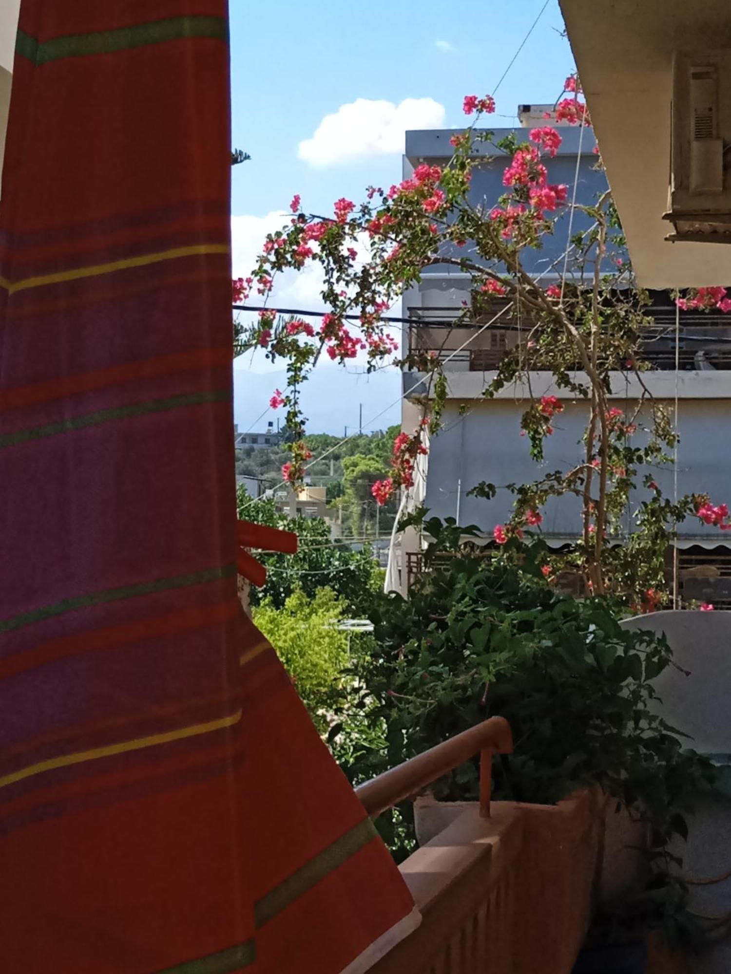 Ilona Apartments Chania Kato Daratso Pokoj fotografie