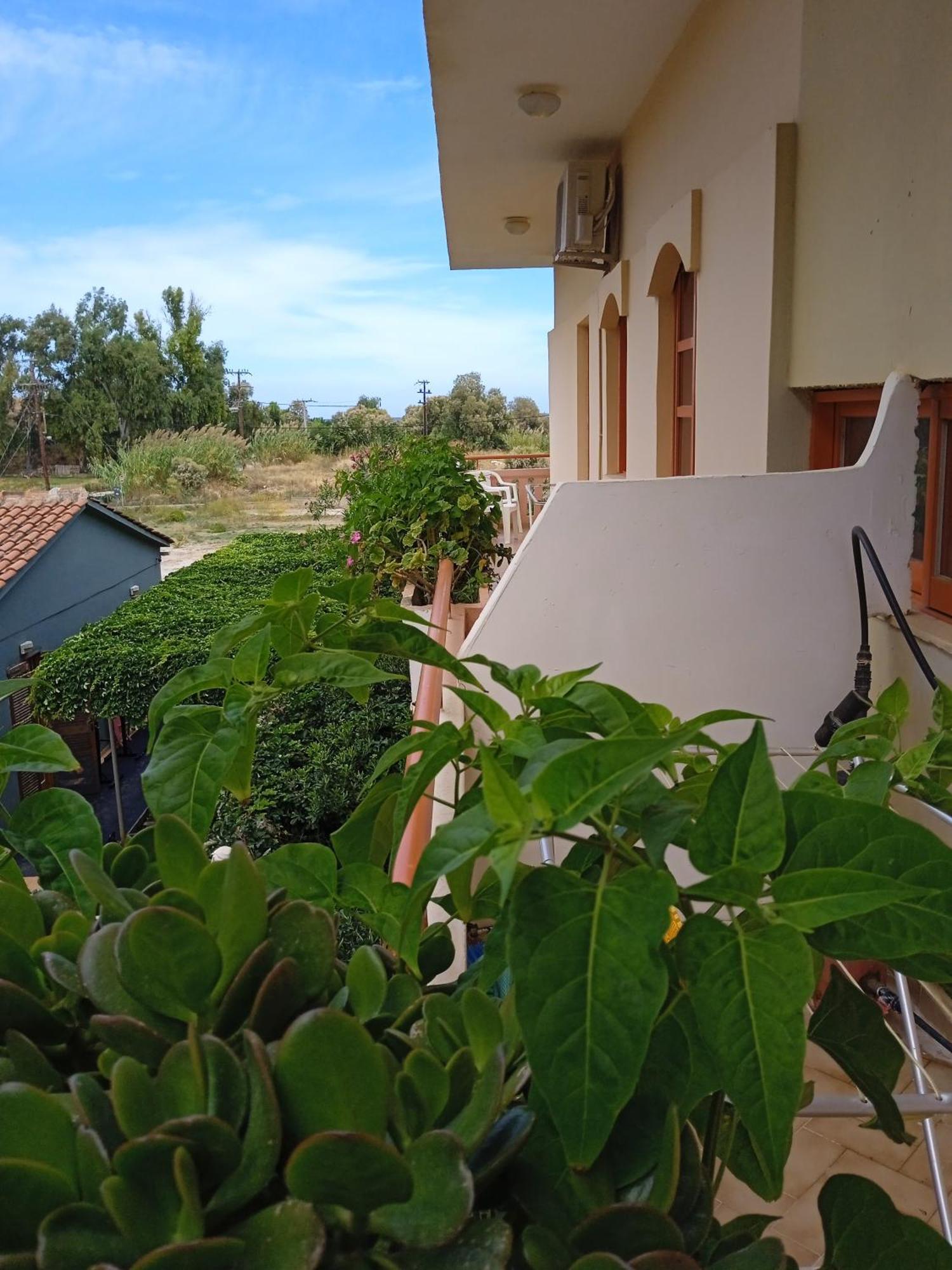 Ilona Apartments Chania Kato Daratso Pokoj fotografie