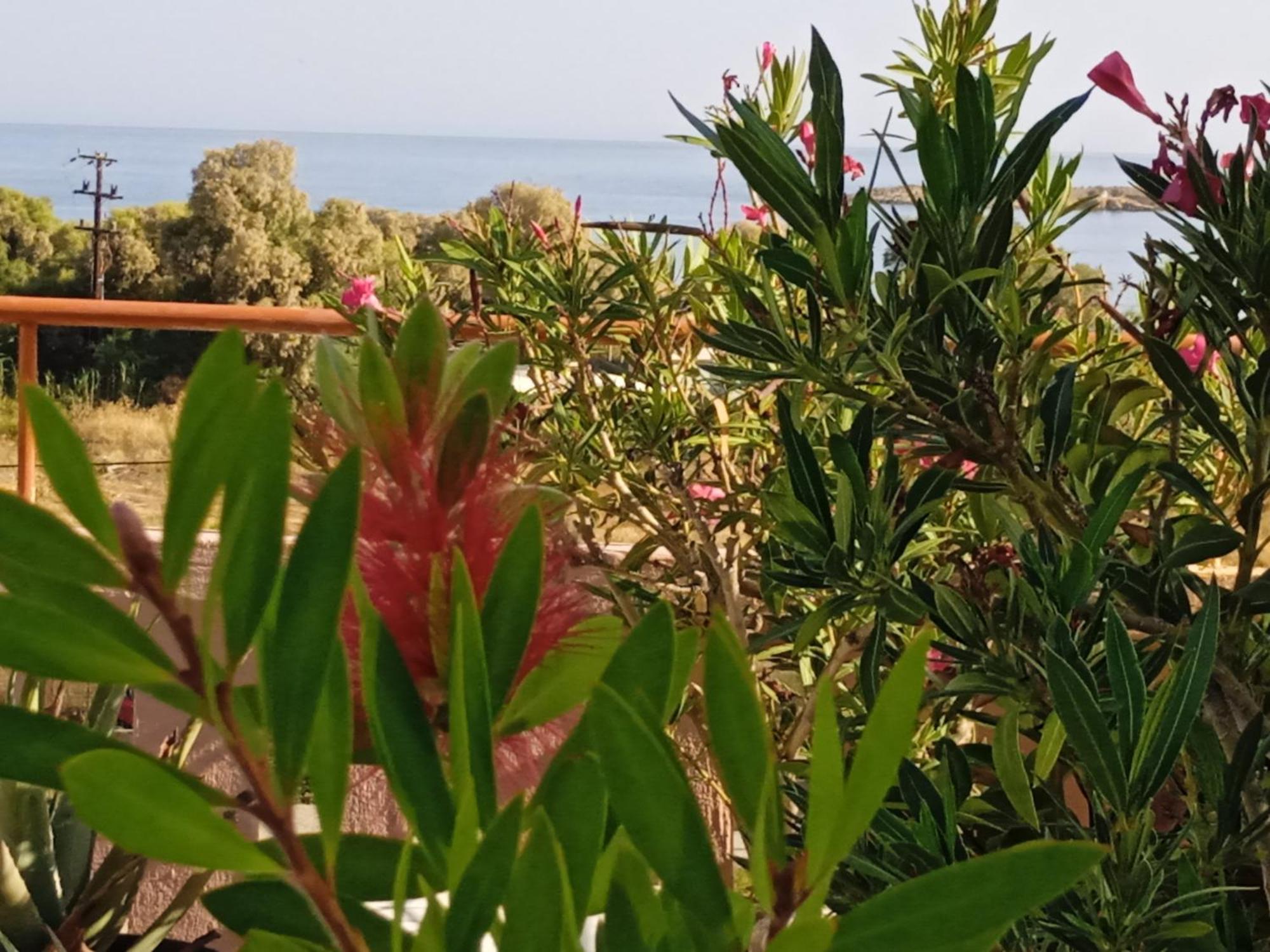 Ilona Apartments Chania Kato Daratso Pokoj fotografie