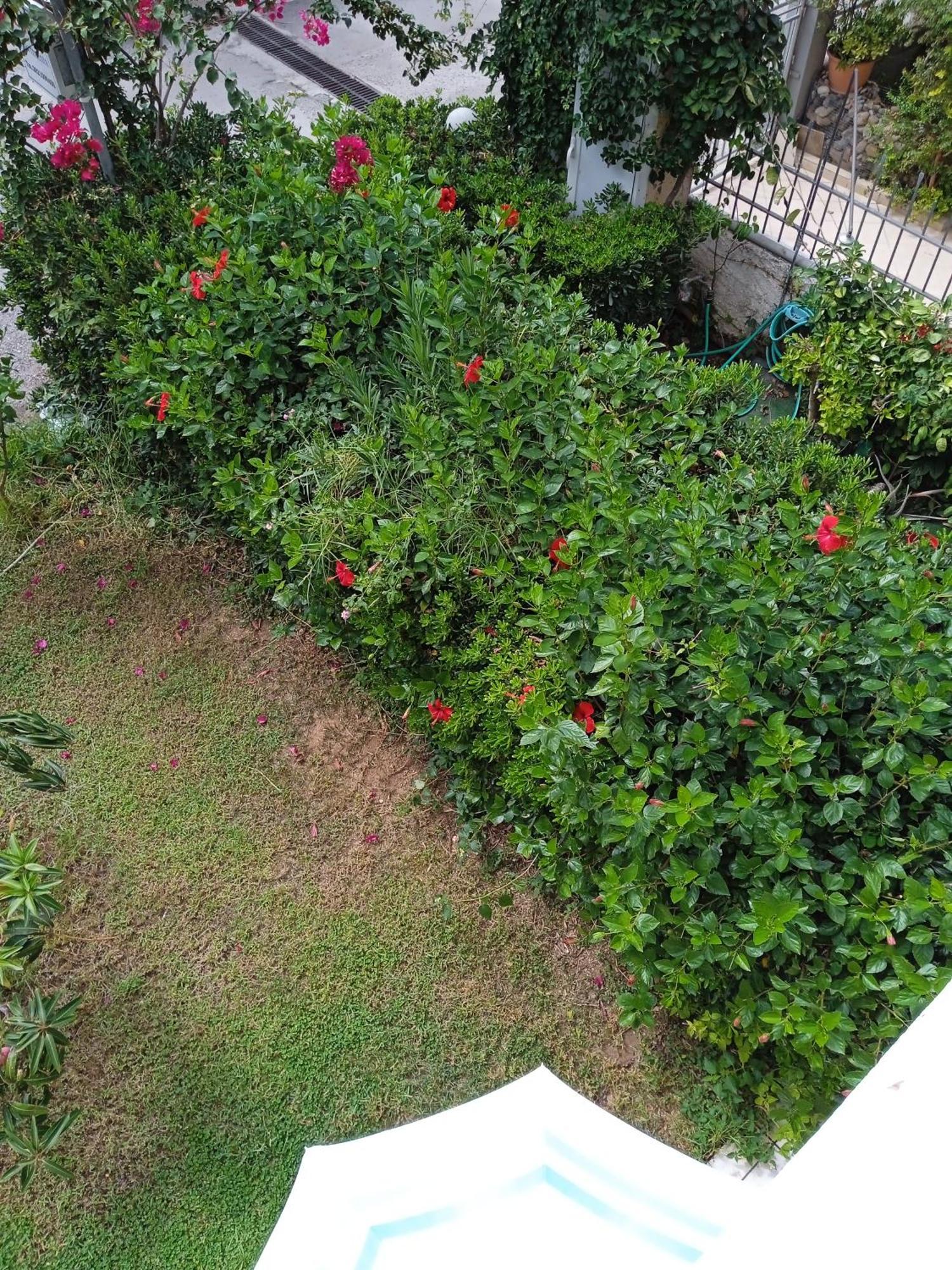 Ilona Apartments Chania Kato Daratso Pokoj fotografie
