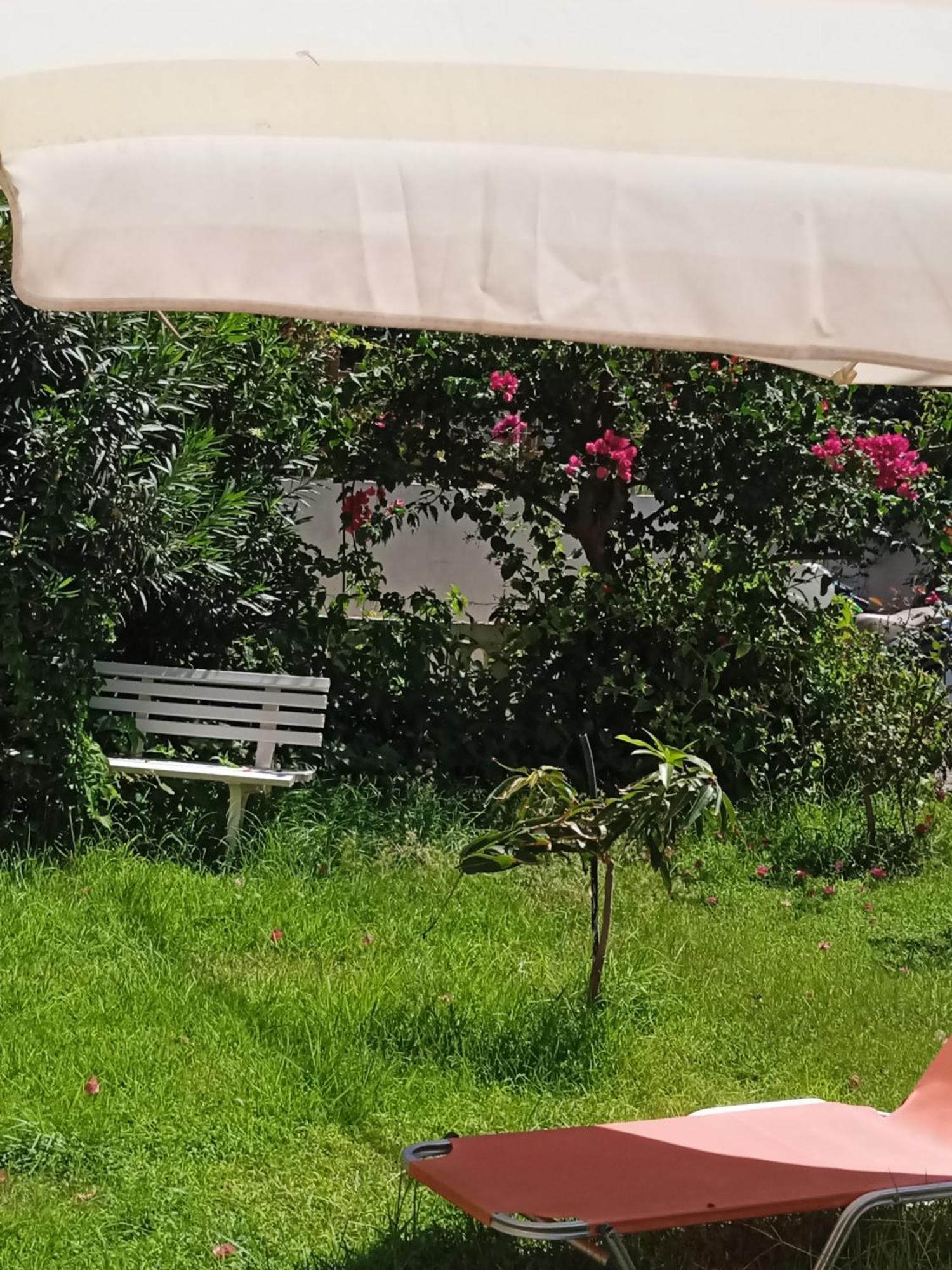 Ilona Apartments Chania Kato Daratso Pokoj fotografie
