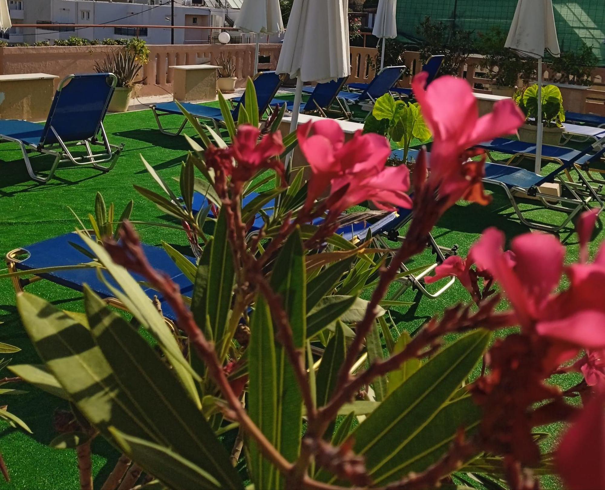 Ilona Apartments Chania Kato Daratso Pokoj fotografie